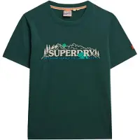 Superdry Superdrytil kvinder. W1011735A Supply Co Relaxed T-shirt grøn (XS), Casual, Bomuld, Korte ærmer