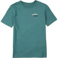 Calvin Klein Shirts smaragd / sort / hvid