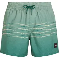O'Neill First 15´´ Badeshorts