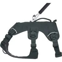 Ruffwear Web Master Harness - XS - Basalt Gray