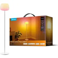 Govee Lantern Floor Lamp