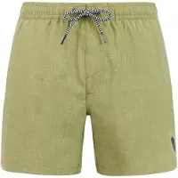 Protest Davey Badeshorts