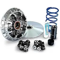 Polini 241744 Variatorkit