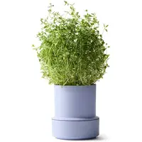 CrushGrind Billund selvvandende urtepotte Lavender