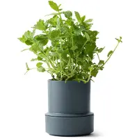 CrushGrind Billund selvvandende urtepotte Blueberry