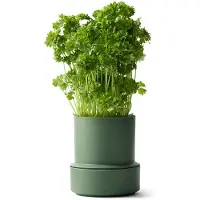 CrushGrind Billund selvvandende urtepotte Parsley