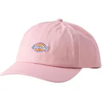Dickies Hardwick Kasket
