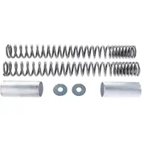 Wirth Federn Progressive Gaffelfjedre GSX 1400 05-