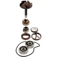 RMS Beauty Piaggio Beverly 250cc 2004/2005 100110220 Reparationssæt Til Vandpumpe