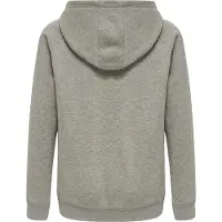 Hummel Sweatshirt 'Red Classic' grå
