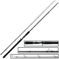 Salmo Trollmaster Baitcastingstang