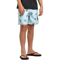 Protest Hector Badeshorts