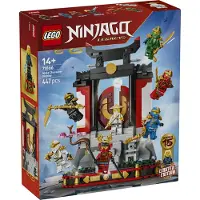 LEGO Ninjago 71866 Ninjakarakterer - 15-års jubilæum
