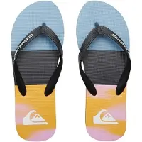Quiksilver Molokai Flip-flops