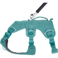 Ruffwear Web Master Harness - XXS - River Rock Green