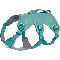 Ruffwear Web Master Harness - S - River Rock Green