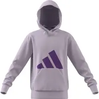 Adidas Essentials Hættetrøje