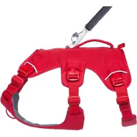 Ruffwear Web Master Multi-Use Support Dog Harness vandreture og trail running service og arbejdende hverdagens slid rød canyon lille