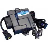 Polini Piaggio Liberty 50 4t 2021-2024 Ecu-sæt
