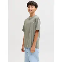 Jack & Jones Junior Shirts beige / grå
