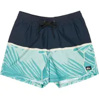 Quiksilver Everyday Poolsider 15´´ Badeshorts