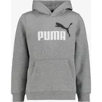 Puma Ess 2 Color Nº 1 Logo Hættetrøje