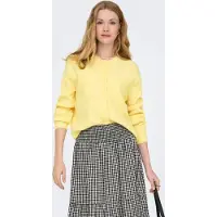 JDY Cardigan 'JDYLUMI' lysegul