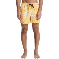 Quiksilver Everyday Printed Volley 15´´ Badeshorts