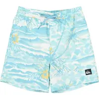 Quiksilver Everyday Printed Volley 14´´ Badeshorts