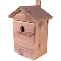 Garden&Fun fuglehusrede af cedertræ med 2 udskiftelige fronter 21x15,5x32 cm