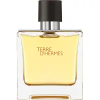 Hermès Paris Terre Pour Homme 75ml Eau De Parfum