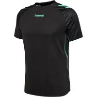 Hummel Blaze 2.0 Training T-shirt Med Korte ærmer