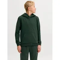 Jack & Jones Ensfarvet Hættetrøje Boys