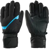 Zanier Rauris Gore-tex Handsker