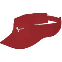 Mizuno Drylite Visir