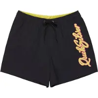 Quiksilver Everyday Malibu Volley 15 Boardshorts sort