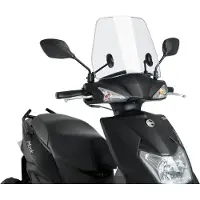 Puig Trafic Sym Mask 125 Ie E5 2023 Forrude