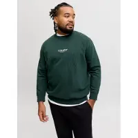 Jack&Jones PLUS Plus Size Printet Sweatshirt