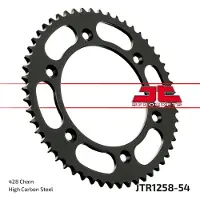 JT Sprockets 428 Jtr1258.54 Steel Bagtandhjul