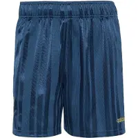 Adidas Argentina Afa Eqt Shorts