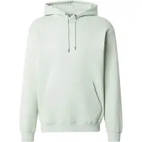 Volcom Sweatshirt 'SINGLE STONE' pastelgrøn