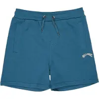 Billabong Arch Shorts