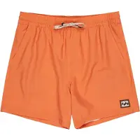 Billabong Every Other Day Badeshorts