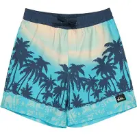 Quiksilver Everyday Printed Volley 14´´ Badeshorts
