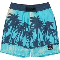 Quiksilver Everyday Printed Volley 13´´ Badeshorts