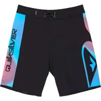 Quiksilver Surfsilk Holmes 17´´ Badeshorts