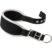 Ferplast Ergocomfort 25 Mm 46 Cm Hundehalsbånd