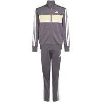 Adidas Træningsdragt 'Seasonal Essentials Tiberio' pastelgul / mudderfarvet / hvid