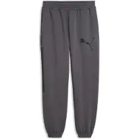 Puma Sport Street Relaxed Graphic Sportsbukser