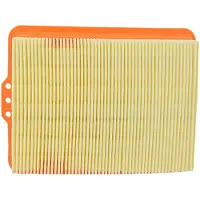 Champion Parts Caf6801 Luftfilter